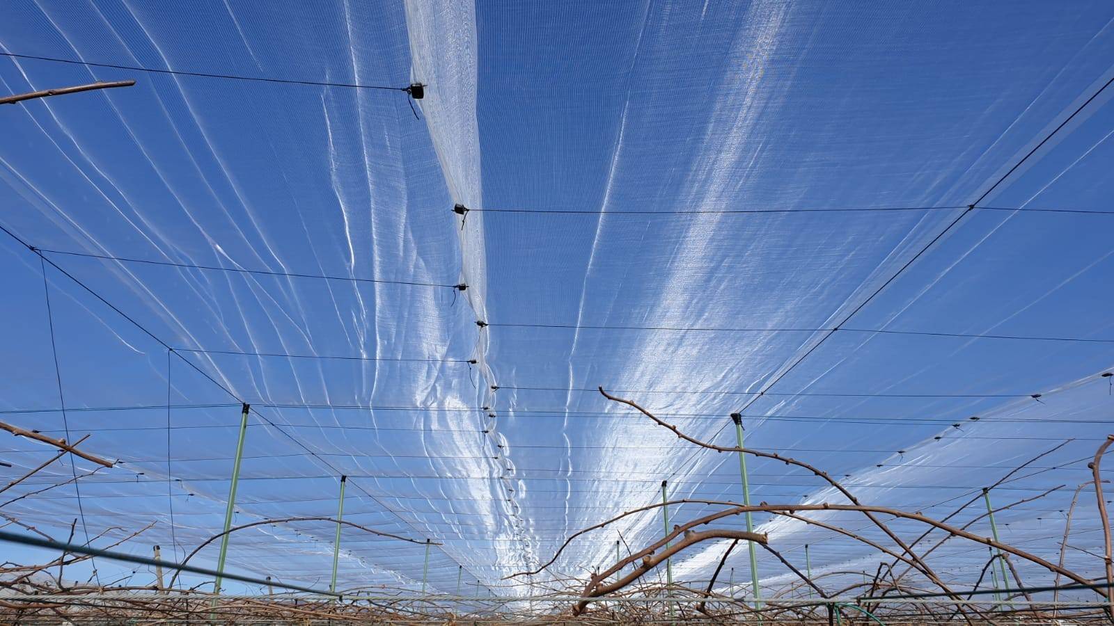 FRUCTUS_Kiwi|IRIDE MULTI PRO + FRUCTUS_BMS Bug